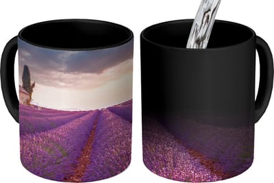 Magische Mok - Foto op Warmte Mokken - Koffiemok - Lavendel - Bloemen - Paars - Veld - Magic Mok - Beker - 350 ML - Theemok