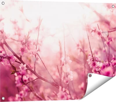 Gards Tuinposter Roze Bloesemboom met Zonneschijn - 80x60 cm - Tuindoek - Tuindecoratie - Wanddecoratie buiten - Tuinschilderij