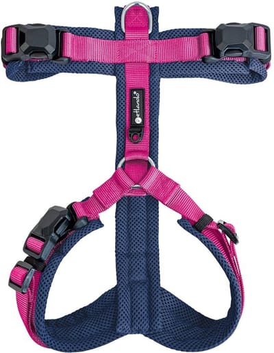Harness Y-Comfort Navy-Fuchsia met magnetische sluiting - maat M- 50 – 74 cm