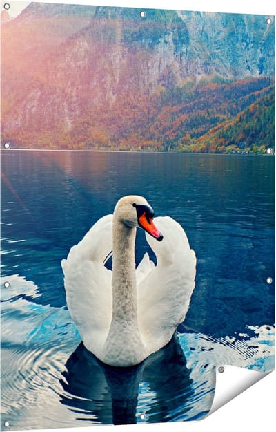 Gards Tuinposter Zwaan op het Water in de Bergen - 90x120 cm - Tuindoek - Tuindecoratie - Wanddecoratie buiten - Tuinschilderij