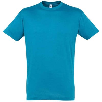 SOLS Unisex Regent T-shirt voor volwassenen (Aqua)