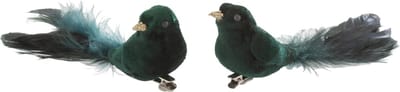J-Line decoratie Vogel + Clip - velvet - groen - set van 2