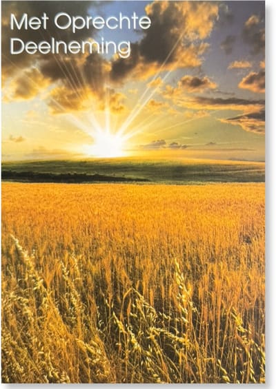 Cards & Crafts Condoleancekaart - Met Oprechte Deelneming Wenskaart - 12 x 17 cm - gevouwen kaart Inclusief envelop