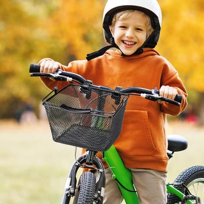 Fietsmand Kinderen - Metalen mand - Spullen meenemen - Stevige ijzeren constructie - 24.5 x 14 x 14 cm - Zwart