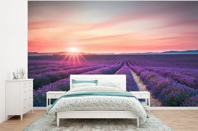 Behang - Fotobehang Lavendel - Paars - Bloemen - Lucht - Breedte 320 cm x hoogte 240 cm