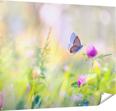 Gards Tuinposter Blauwe Vlinder bij een Paarse Bloem - 150x120 cm - Tuindoek - Tuindecoratie - Wanddecoratie buiten - Tuinschilderij