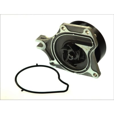 Waterpomp THERMOTEC D13041TT