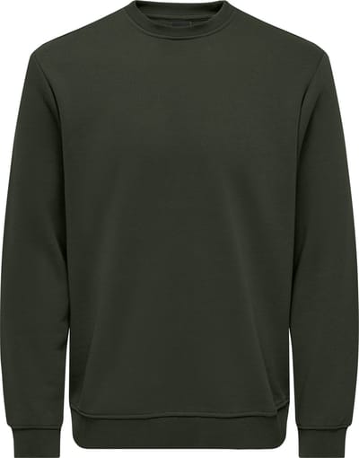 ONLY&SONS - ONSCONNOR LIFE REG CREW NECK SWEAT NOOS - Heren - Sweaters