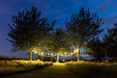 HappyLights lichtsnoer buiten [Outdoor] Clear warm - 10 LED's - 5m
