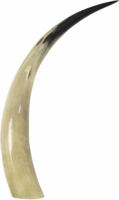 Mars & More Koehoorn - decoratie - beige - 45 cm - natuurlijk materiaal - voor binnen - uniek natuurproduct