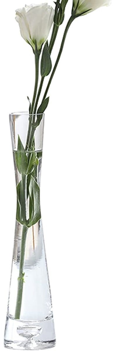 Dailygoods- Bloemvaas Handgemaakt - Kristalhelder Glas - Slank Ontwerp - Stabiele Basis - Decoratie voor Thuis/Kantoor - Afmetingen 5x20 cm - Vaas