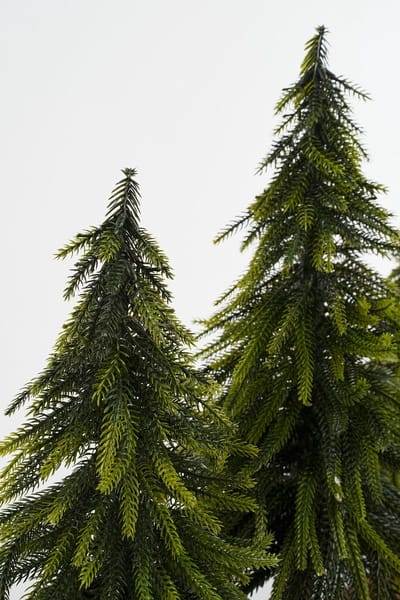X-mas tree green TIPS 452 - h40xd22cm