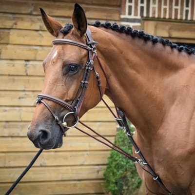 Gogue voor paard Jump'In One