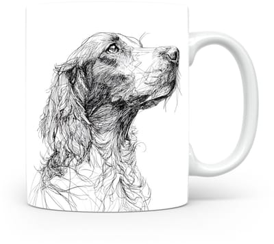 Beker Field Spaniel