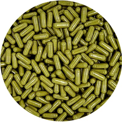 Moringa Capsules 1000 Stuks