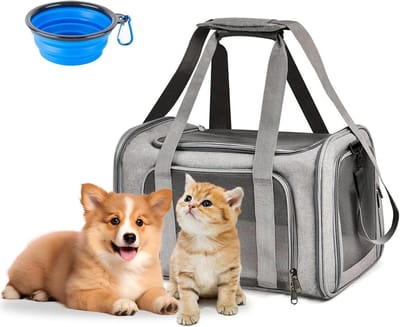Cosensi - Draagbare transportbox voor honden en katten - Opvouwbare kooi - Grijs - Grote kat - Kleine hond - 45 x 30 x 30 cm
