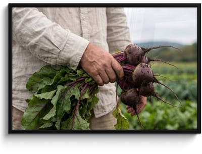 Poster in lijst - Fotolijst 120x80 cm - Posters - Bieten - Vers - Moestuin - Posterlijst zwart - Decoratie - Wanddecoratie woonkamer - Muurdecoratie slaapkamer