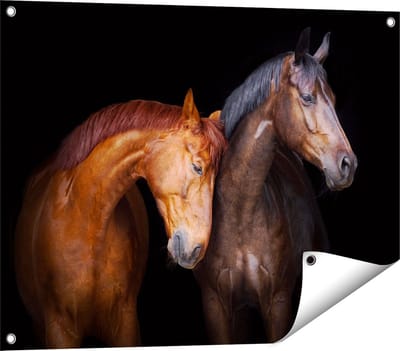 Gards Tuinposter Twee Bruine Paarden Koppel - Liefde - 80x60 cm - Tuindoek - Tuindecoratie - Wanddecoratie buiten - Tuinschilderij