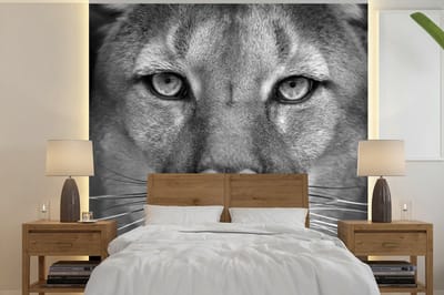 Behang - Fotobehang Panter - Wilde dieren - Zwart - Wit - Breedte 350 cm x hoogte 350 cm