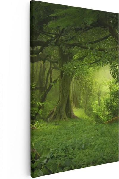 Artaza Canvas Schilderij Bos - 40x60 cm - Wanddecoratie Natuur - Muurdecoratie Bomen - Schilderijen Op Canvas Landschap