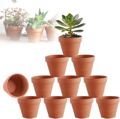 Solidchoice - 10 Stuks Mini Terracotta Bloempotten - Kleine Klei Potten met Afvoergat voor Planten
