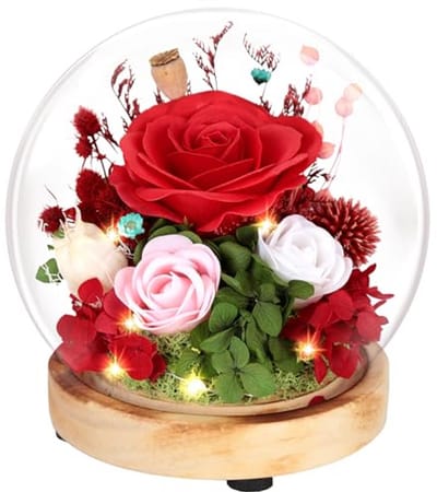 Eeuwige Rozen - Bloemen in Glas - Romantisch Cadeau - Met LED Licht - 18 cm Hoog - Rood