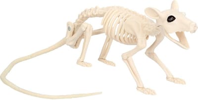 Boland - Decoratie Skelet rat Nibbles - Horror - Horror