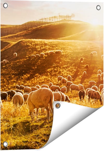 Gards Tuinposter Schapen in de Heuvels bij Zonsondergang - 40x50 cm - Tuindoek - Tuindecoratie - Wanddecoratie buiten - Tuinschilderij