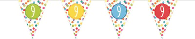 Haza Leeftijd Vlaggenlijn - 9 jaar - verjaardag versiering - vlaggetjes slinger - 6 m - kunststof