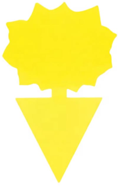 TSD goods Vliegenval - Fruitvliegjes Vanger - Rouwvliegjes Bestrijden - 30 stuks