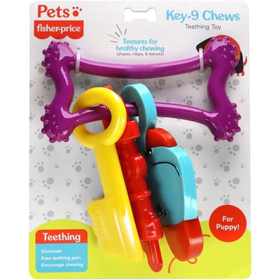 FISHER-PRICE Jouet à mâcher pour chien, Key-9, jouet de dentition blue