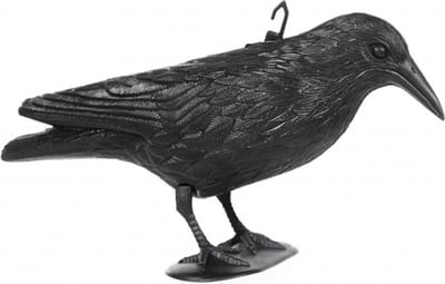 Vogelverschrikker/horror decoratie kraai/raaf - 1x - zwart - 36 cm - plastic - Halloween kerkhof decoratie dieren - Kraaien - Raven