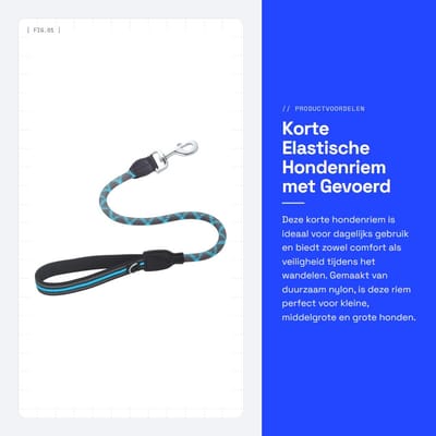 Dailygoods- Hondenriem Korte Elastische Nylon - Hondentrainingslijn - Gevoerd Handvat - Reflecterende Stiksels - Metalen D-Ring Gesp - Duurzaam Materiaal - Hondentuig
