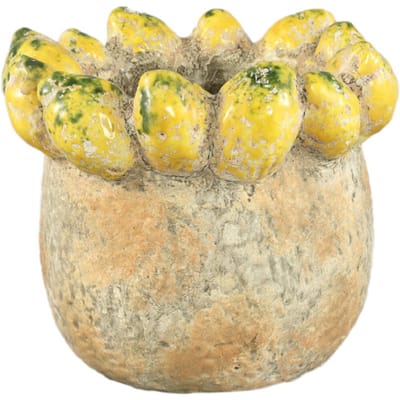 PTMD - Pot Fruitsy - Geel - 23.5x23.5x20cm