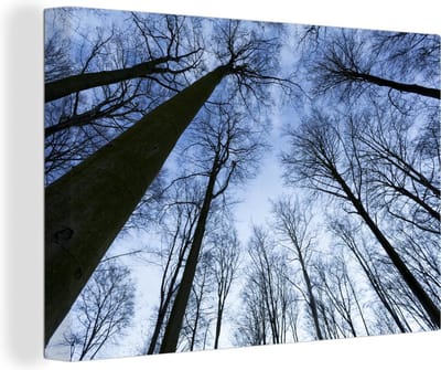 Canvas Schilderij Bos - Bomen - Lucht - 90x60 cm - Wanddecoratie