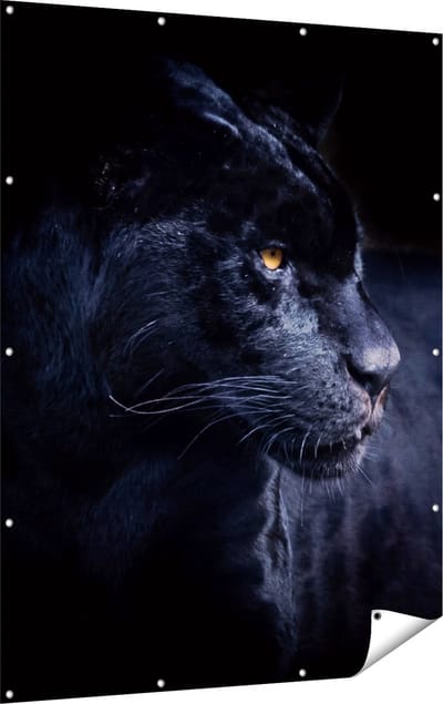 Gards Tuinposter Zwarte Panter - 120x160 cm - Tuindoek - Tuindecoratie - Wanddecoratie buiten - Tuinschilderij