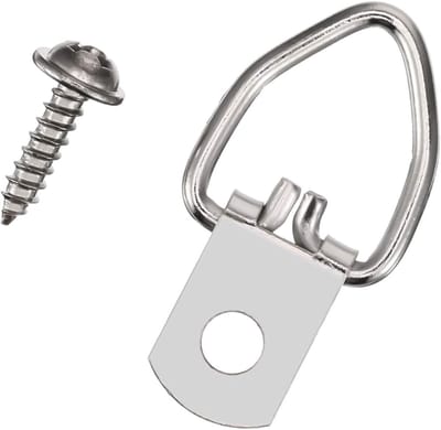 Daity Verpakking van 100 stuks stevige D-ring ophanghaken voor fotolijsten - inclusief schroeven - geschikt voor het ophangen van klokken - olieverfschilderijen - kunstwerken - fotolijsten - kruissteekwerk - enz. (zilver)