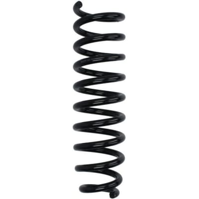 Chassisveer MAGNUM TECHNOLOGY SW191