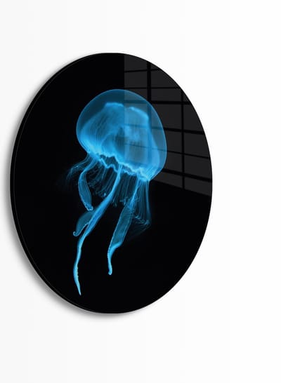 Indoorart - Muurcirkel Kwal Plexiglas 30 cm - Wanddecoratie - Afbeelding op Plexiglas - Inclusief ophangplaat