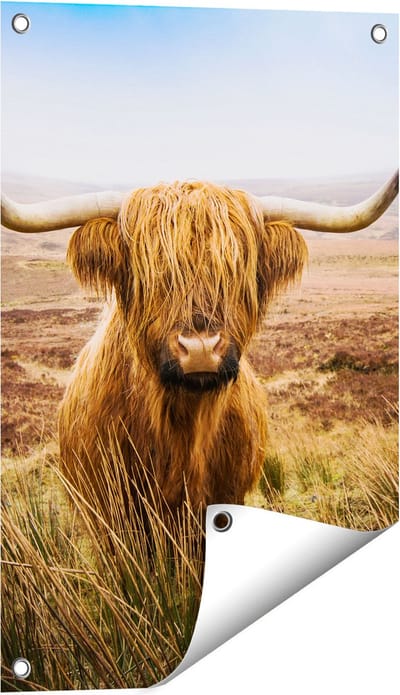 Gards Tuinposter Schotse Hooglander Koe in het Veld - 40x60 cm - Tuindoek - Tuindecoratie - Wanddecoratie buiten - Tuinschilderij