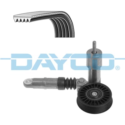Poly V-riem set DAYCO KPV254