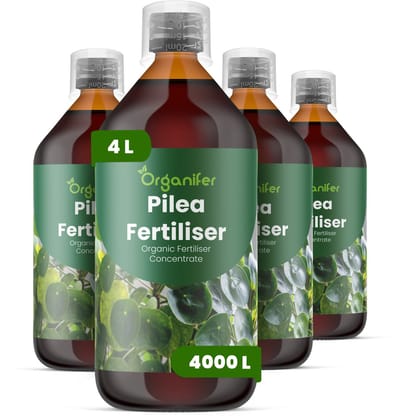 Vloeibare Meststof Voor Pilea 4X1 L Voor 4000 L - Npk 3-4-3 - Ondersteunt Compacte - Evenwichtige Groei - Verbetert Bladkleur - Bladdichtheid En De Algehele Visuele Kwaliteit - Stimuleert Langdurige Plantvitaliteit En Stabiliteit - Orgamifer