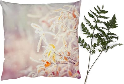 Sierkussens - Kussentjes Woonkamer - 40x40 cm - Winter - Takken - Sneeuw - Natuur - Kerstversiering - Kerstdecoratie voor binnen - Woonkamer