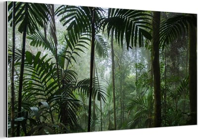Aluminium schilderij 160x80 cm - Wanddecoratie metaal - Regenwoud - Tropisch - Jungle - Bomen - Planten - Metalen muurdecoratie woonkamer - Decoratie industrieel - Foto op dibond - Industriële accessoires slaapkamer