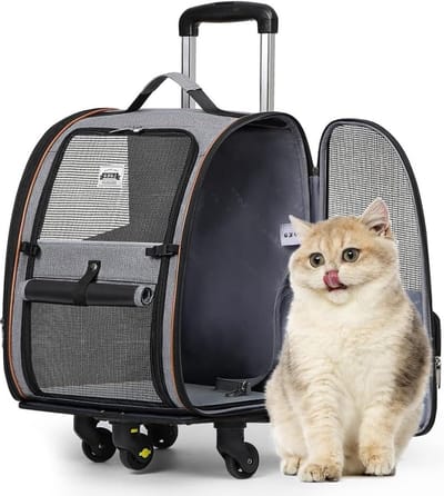 Hondenrugzak Kattenrugzak Trolley 2-in-1 - Grote Transportbox Voor Kleine Honden En Katten - Grijs L Hondenrugzak