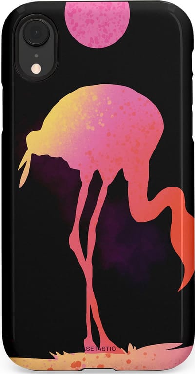 Casetastic Hoesje Geschikt voor Apple iPhone Xr - Stijlvolle Beschermende Duo-layer Case - Silhouet Flamingo