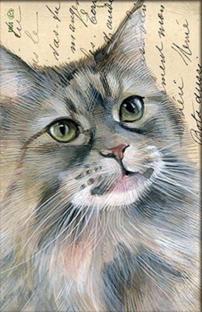 Dubbele kaart met env. Kat perzische 11,5x17,5cm