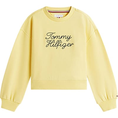 Tommy Hilfiger Sweat kg0kg09439