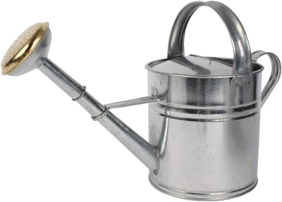 Metalen Gieter - Waterkruik Tuin - Planten Water Geven - Met Broeskop - 5 Liter - Beige