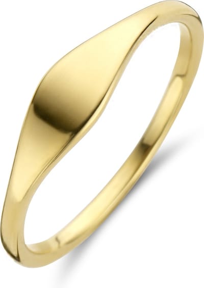 CO88 Collection 8CR-10030-54 Stalen Ring - Dames - 4,5 mm tot 1,5 mm Breed - Maat 54 - Goudkleurig
